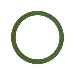 10A8168X012-GASKET-FISHER