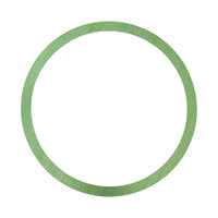 1E390404022-GASKET-FISHER