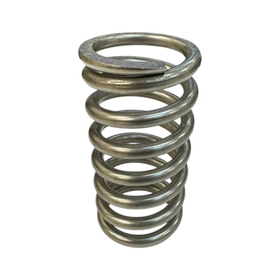 1F125637012 - Fisher SPRING, PACKING, 316