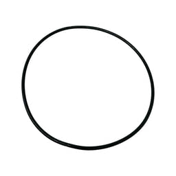 1H862506992-O-RING-FISHER