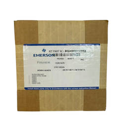 RGASKETX252 - Fisher GASKET SET; 2X1 E&ER, N06600/GRAPH - ACD America's Store